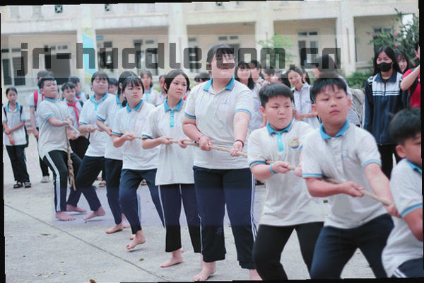 由问号和网格线组成的抽象帮助图标